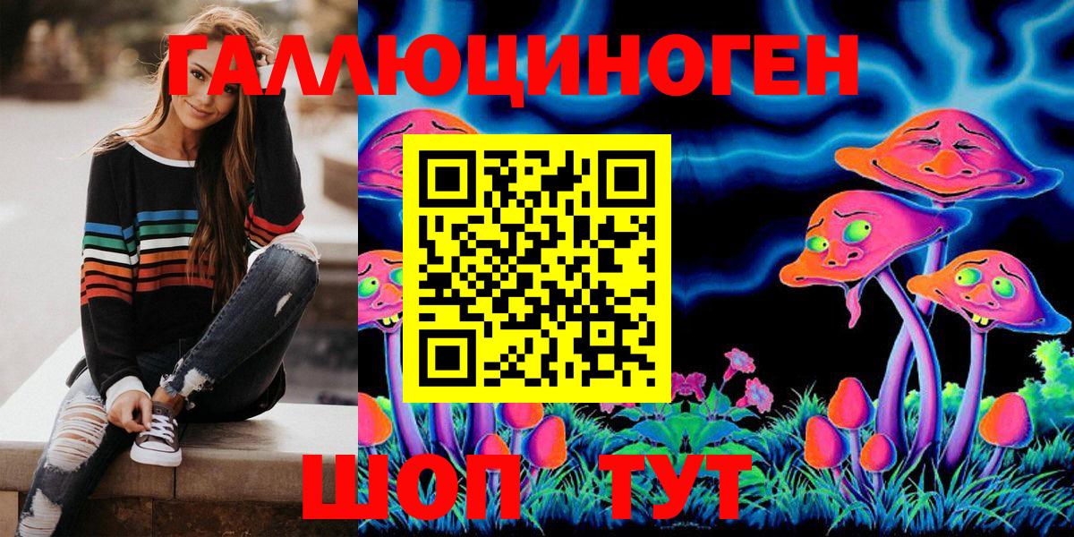 Псилоцибиновые грибы Cubensis  Вход с VPN  Зерноград 