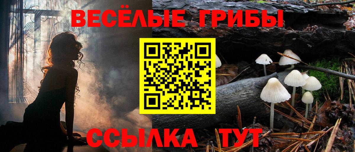Галлюциногенные грибы MAGIC MUSHROOMS Зерноград